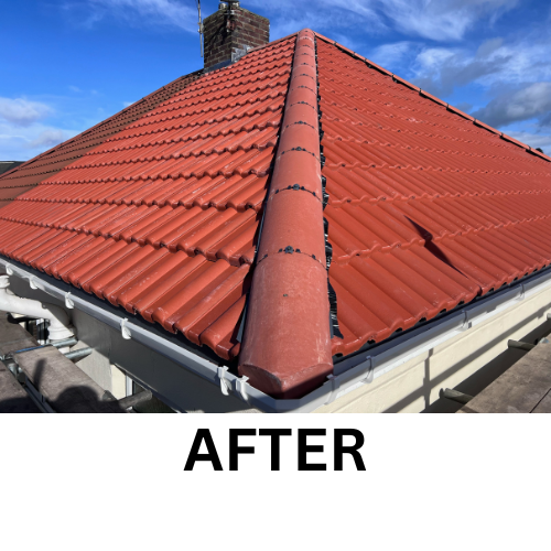 Before & Afters
